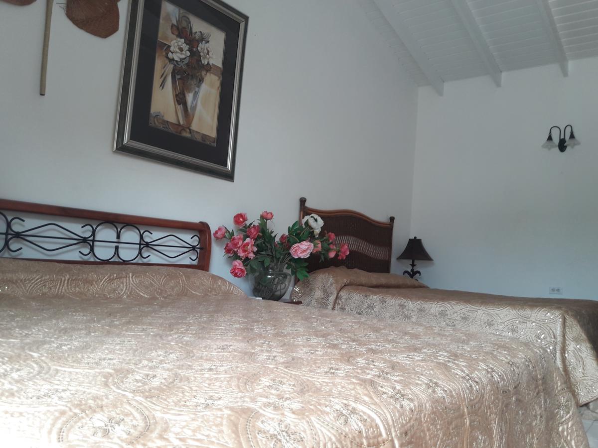 Aruba Harmony Apartments Ораниестад Екстериор снимка